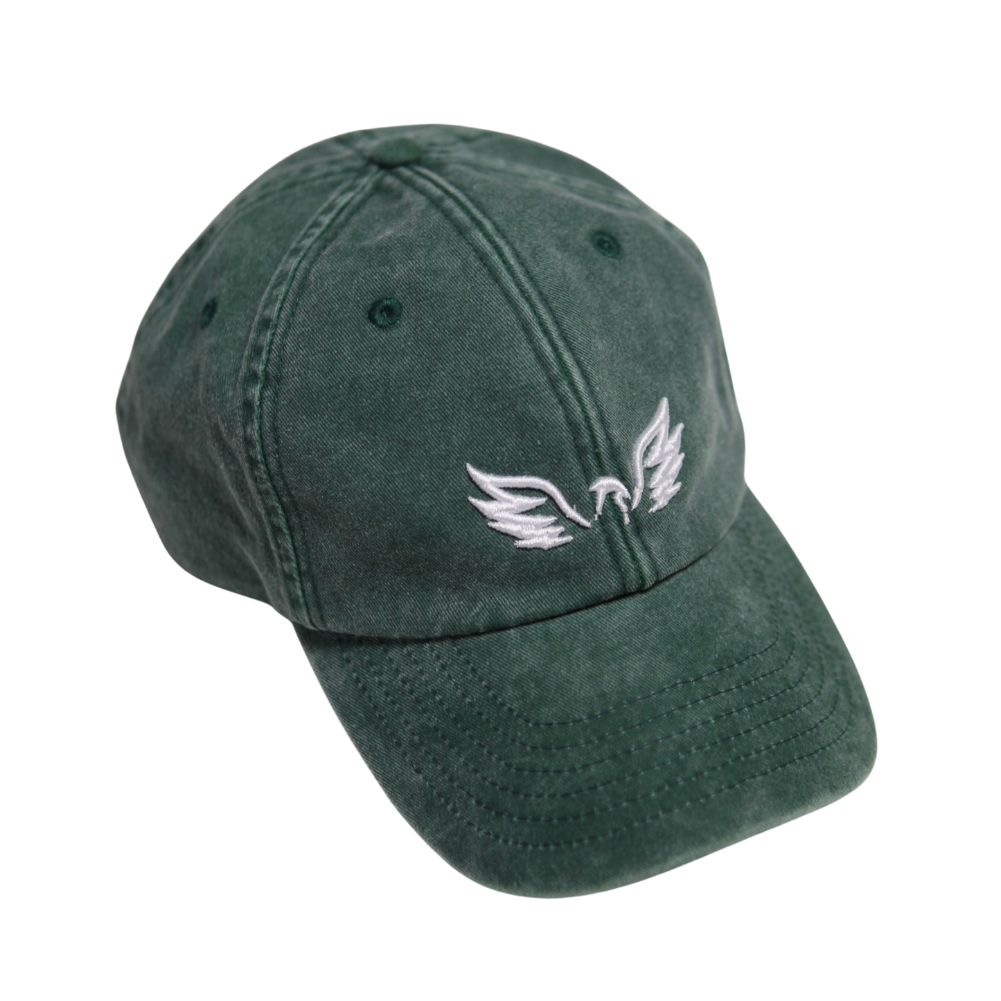 Resilience Washed Cap (Pre Order)
