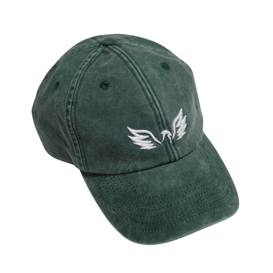 Resilience Washed Cap